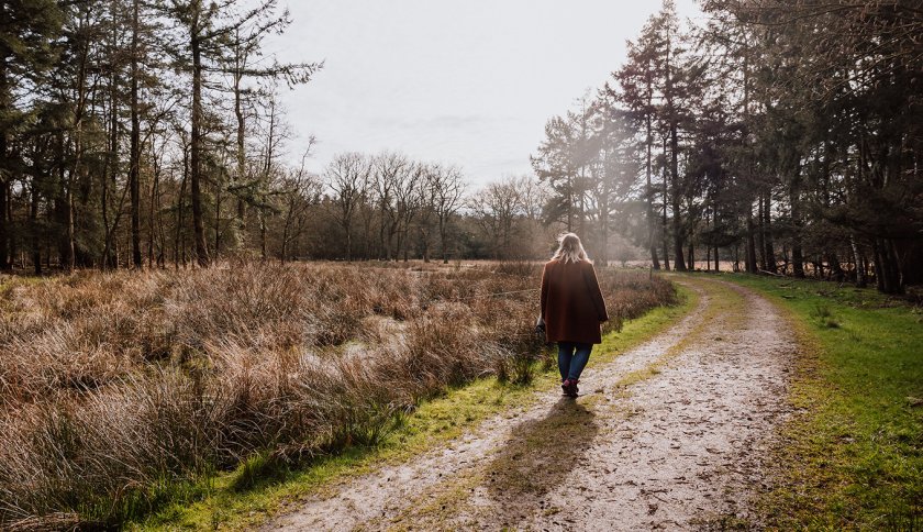 Van Gogh Drenthe walking on a forest path 