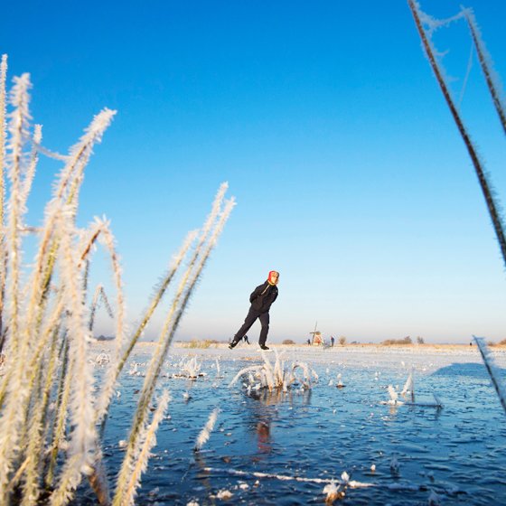 Frozen reed with a skater on the ice and mill Friesland.