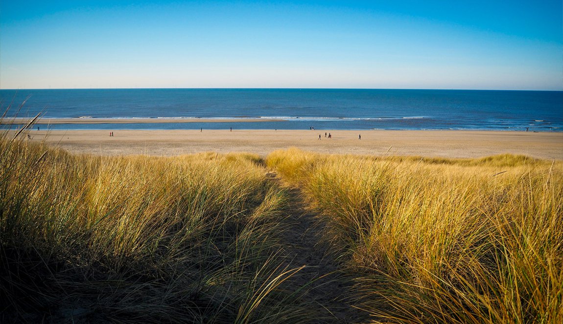 Empty beaches with dunes and sea Egmond aan Zee