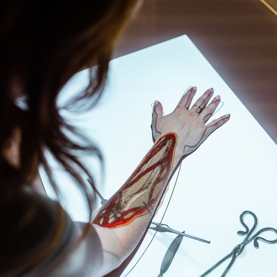 Rijksmuseum Boerhaaven anatomy