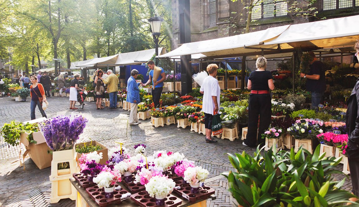 Flower market at Janskerkhof, Utrecht