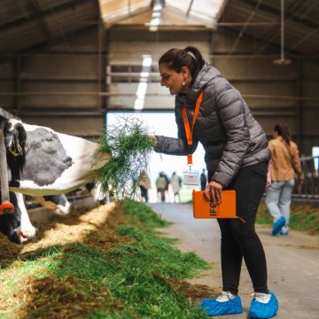 A participant of the IFCN Dairy Congress during one of the field excursions, visiting a sustainable Frisian cow farm