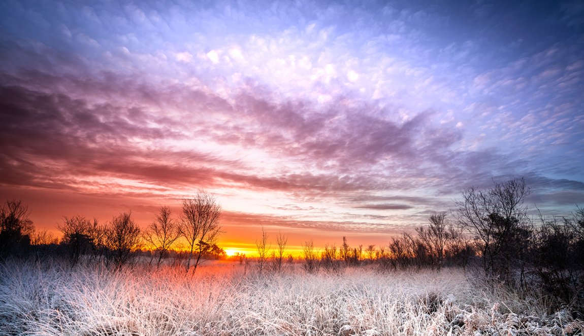 Sunrise in winter at National park Groote Peel between the provinces of Limburg and North Brabant