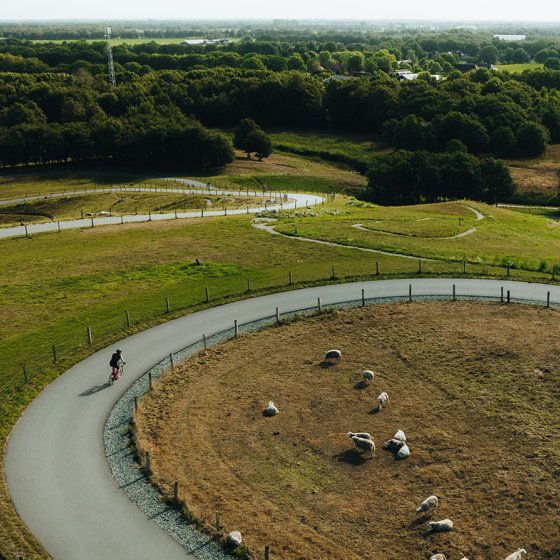 Cyclist on Col du VAM