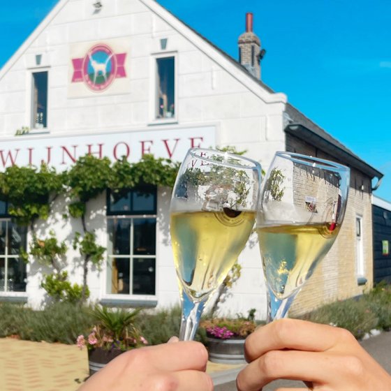 Wijnhoeve Kleine Schorre Dreischor; cheers!