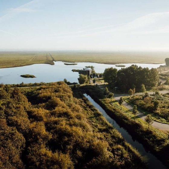 Hiking along the Oostvaardersplassen
