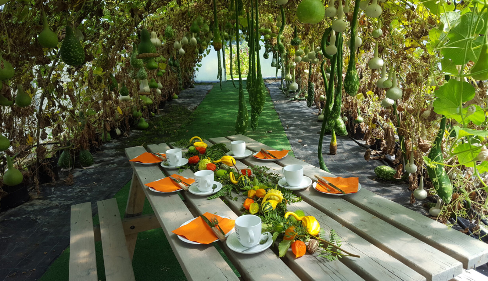 Table set in autumn colours Table set in autumn colours