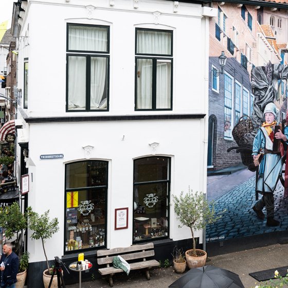 Deventer city centre - Kleine Overstraat - Treurnietsgang - mural