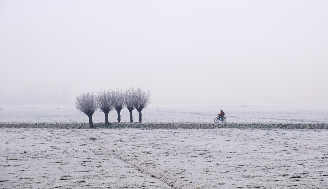 Cyclist in the snowy meadows near Maasland