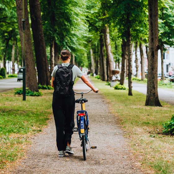 Utrecht Maliebaan walking with bicycle between the trees