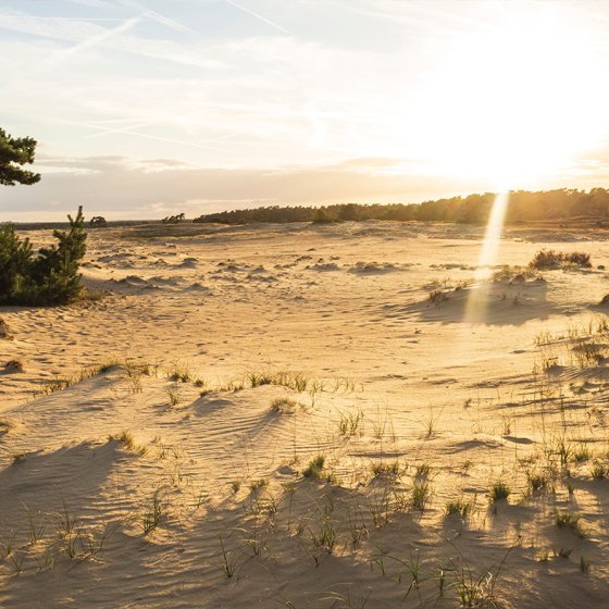 Nationaal Park Hoge Veluwe