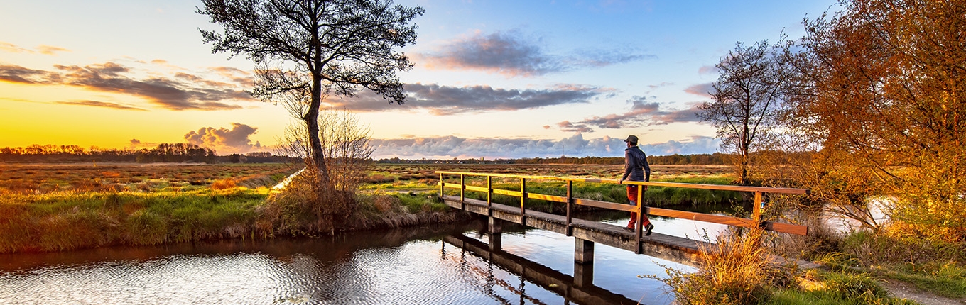 Walker crossing bridge over river in dutch countryside National Park landscape the Drentsche Aa