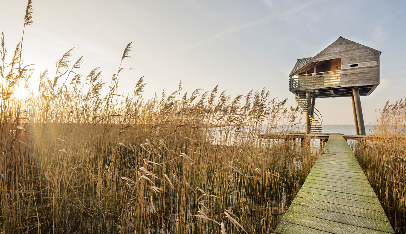 Vogelkijkhut Kiekkaaste, Nieuwe Statenzijl Vogelkijkhut Kiekkaaste, Nieuwe Statenzijl