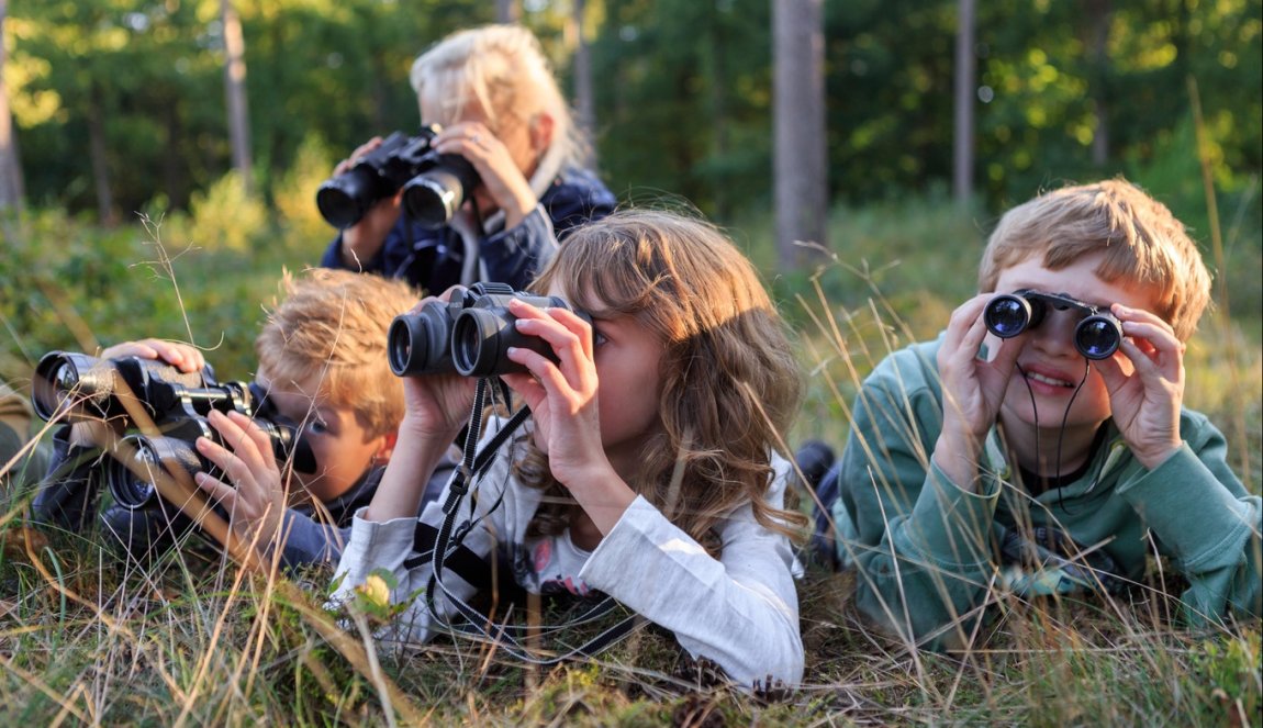 Kids looking through binoculars National parc De Hoge Veluwe
