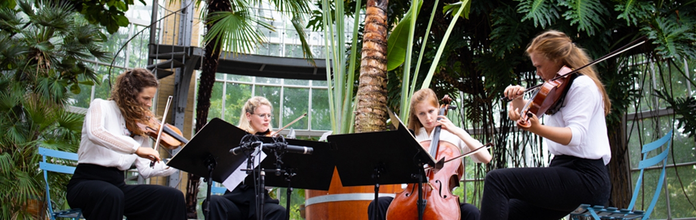 Grachtenfestical musicians in hortus botanicus Grachtenfestical musicians in hortus botanicus