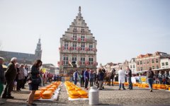 Gouda