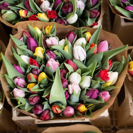 Focus on tulips at a market