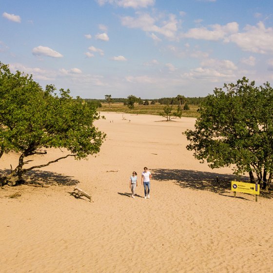 Loonse and Drunense dunes