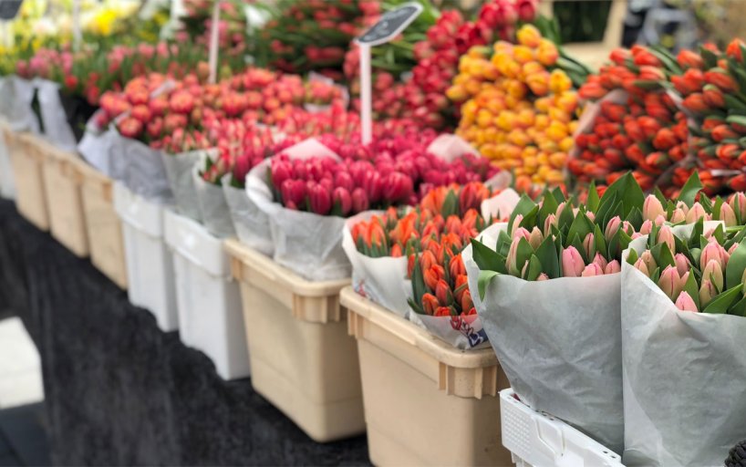 Collection#70 The best markets to visit in Amsterdam - Holland.com