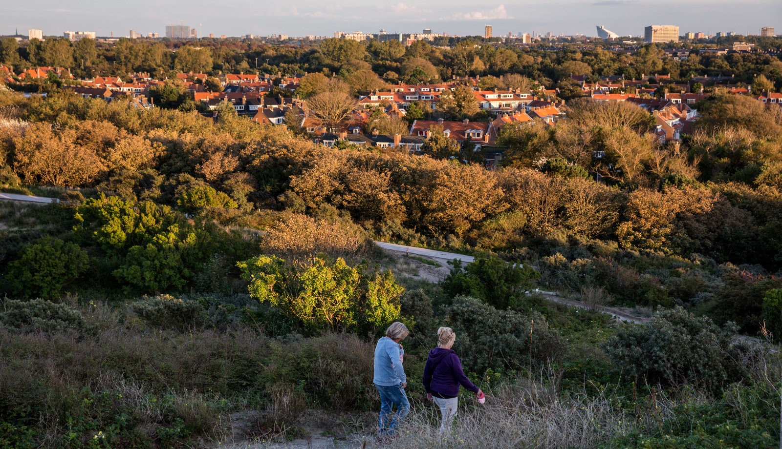 Women are walking in the dunes in Westduinpark The Hague