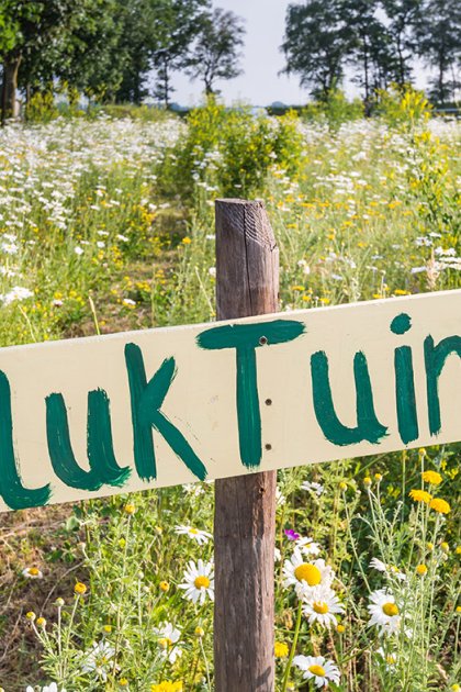 Flower picking garden