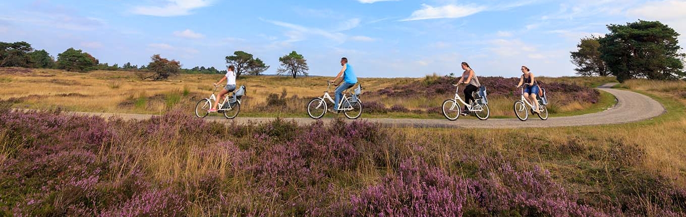 Nationale Park De Hoge Veluwe Nationale Park De Hoge Veluwe