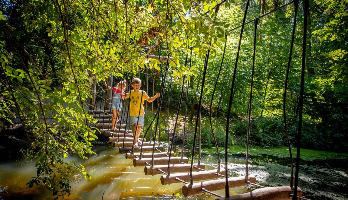 Children in the Experience Forest Lelystad