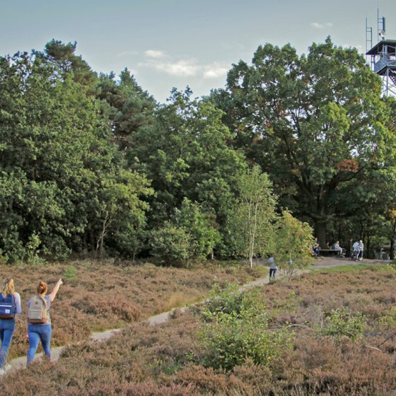 Walkers enjoy Besthmenerberg with heathland and watchtower