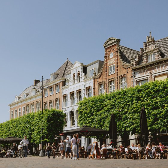 Square with cathedral of Saint Bavo Haarlem