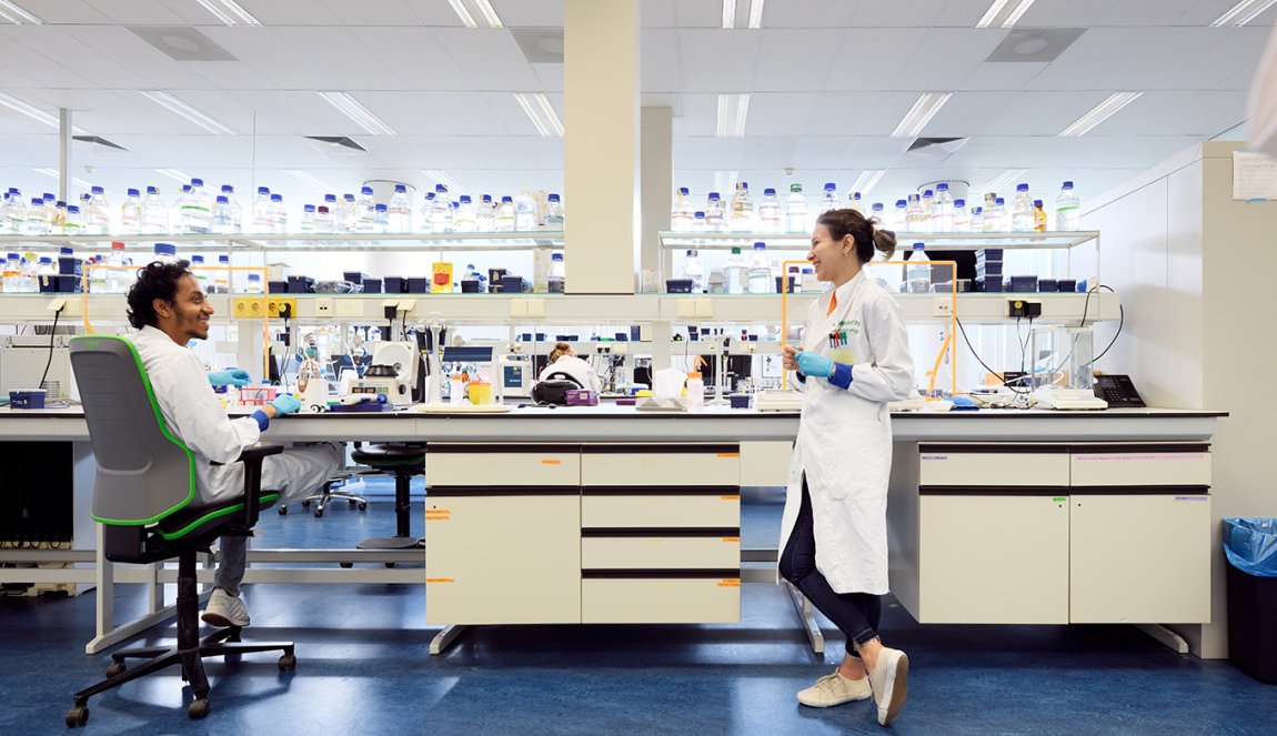 BioMedisch Cellab TU Eindhoven BioMedisch Cellab TU Eindhoven