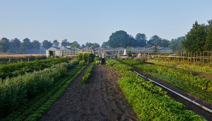 Greenhouse Beemster De Kas