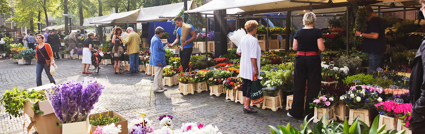 Flower market at Janskerkhof, Utrecht Flower market at Janskerkhof, Utrecht