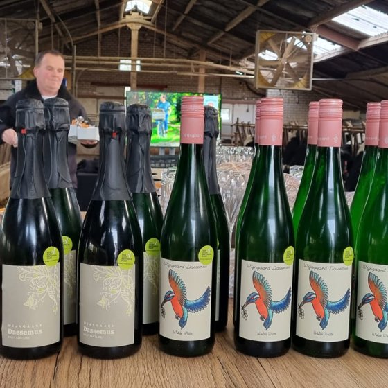Weinanbau in Noord-Brabant: in Harmonie mit der Natur