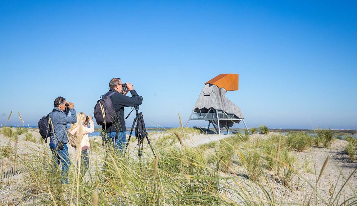 Bird watchers enjoy the view of Marker Wadden