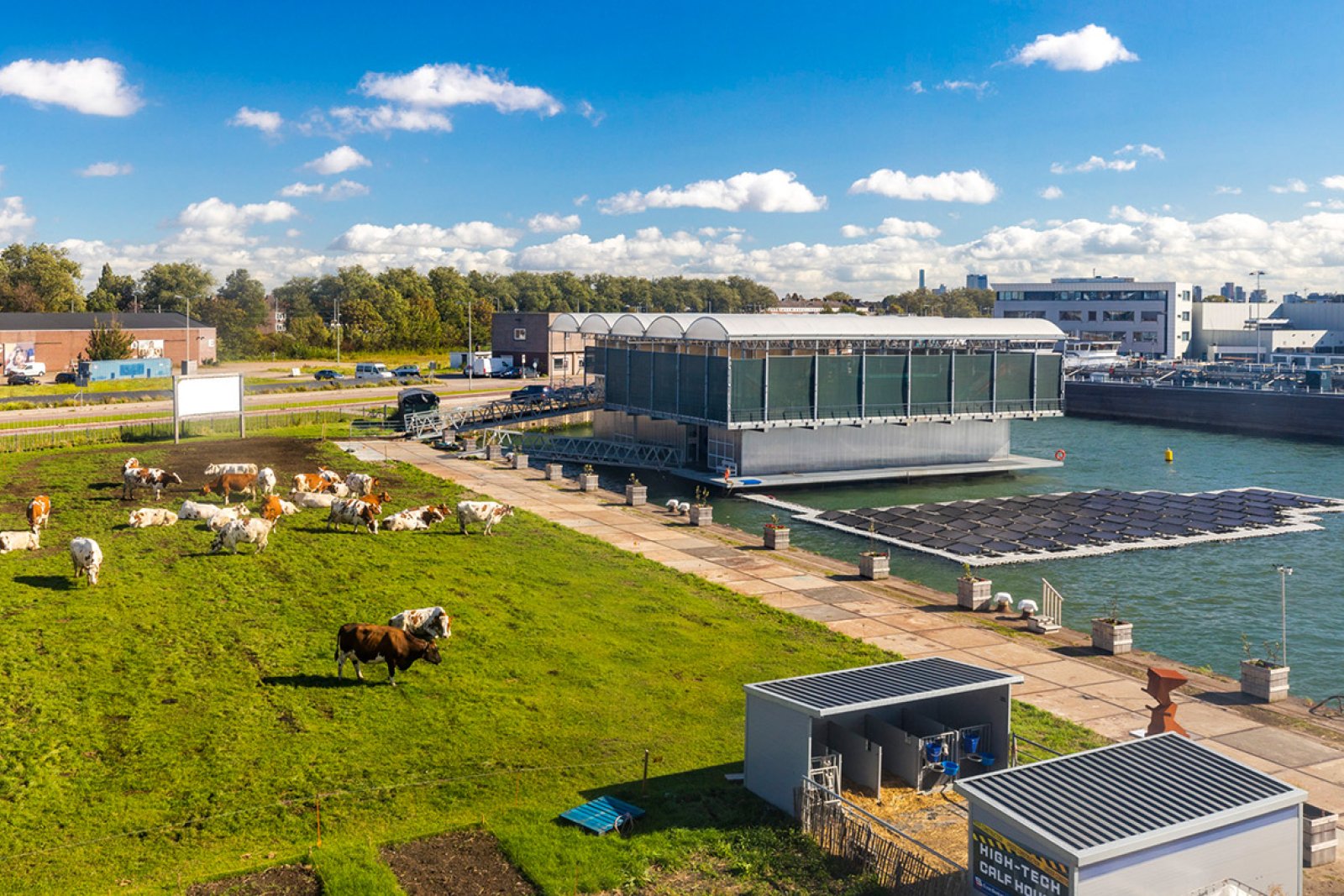 Floating Farm Rotterdam overview with cows and solar panels