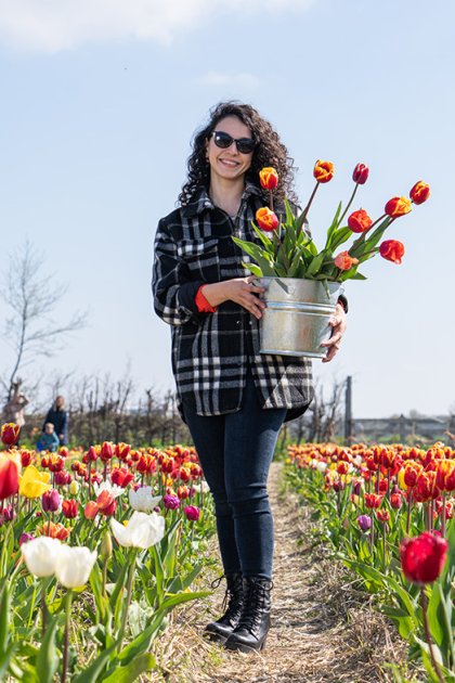 Lady in picking garden with her own picked tulips in bucket at pick-your-own garden Bakkum