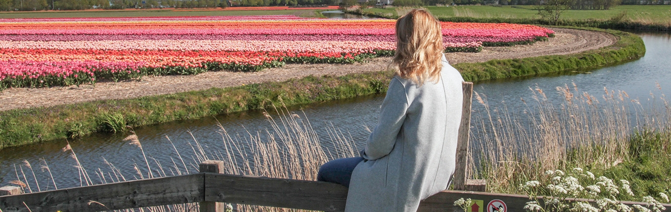Lady on fence enjoys flower fields in Lisse in the Bulb Region Lady on fence enjoys flower fields in Lisse in the Bulb Region