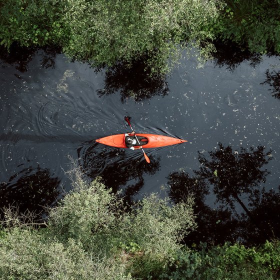Kayaking in the Biesbosch 