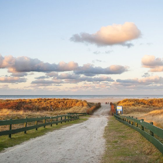 Schiermonnikoog sereen road to the beach