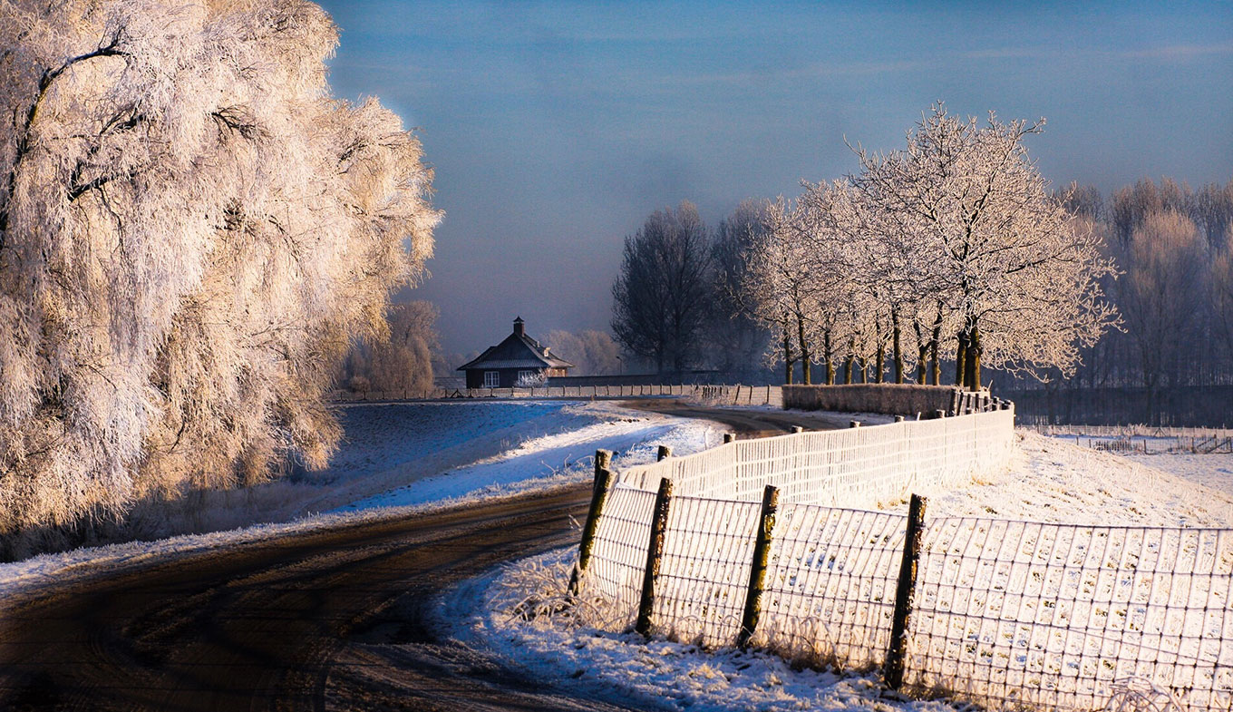 The Best Winter Walks In Holland Holland Com