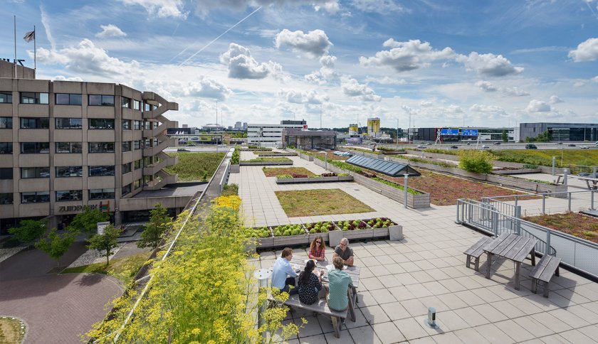 Urban farming Amsterdam