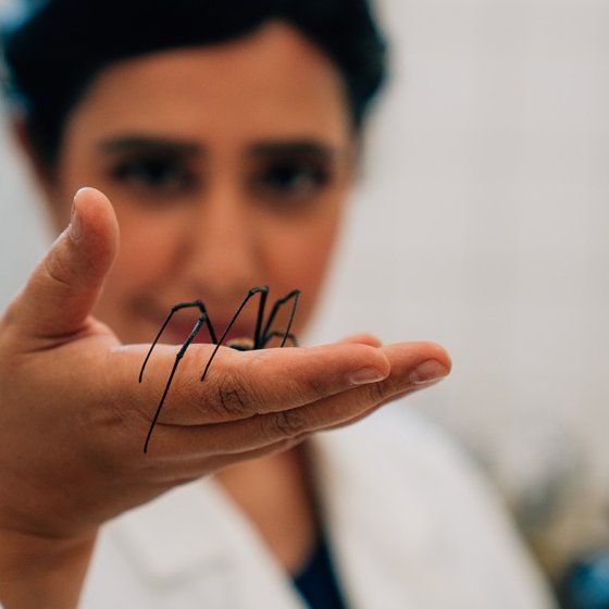 Portraitphoto Jalila Essaidi with spider on her hand