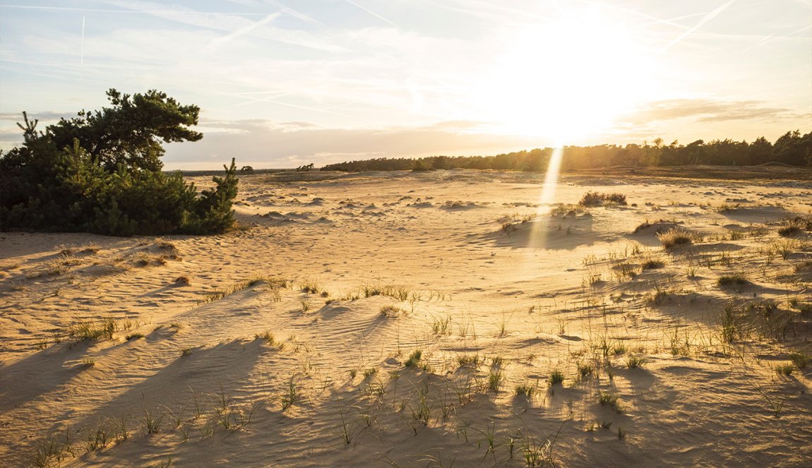 Nationaal Park Hoge Veluwe