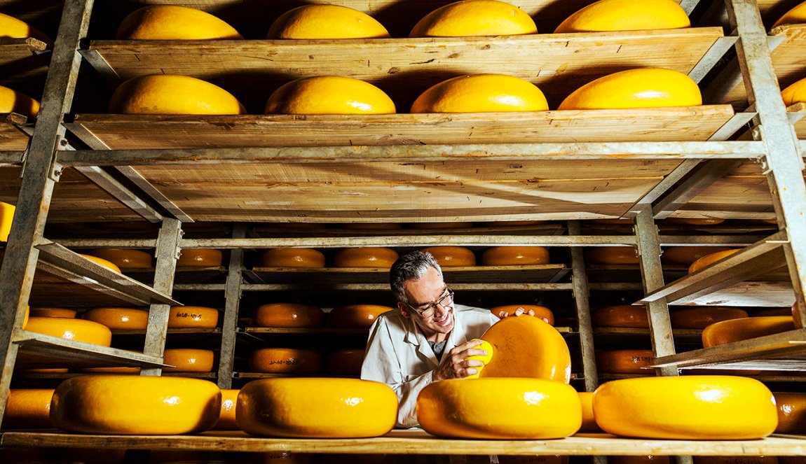 Gouda Cheese control on the shelf