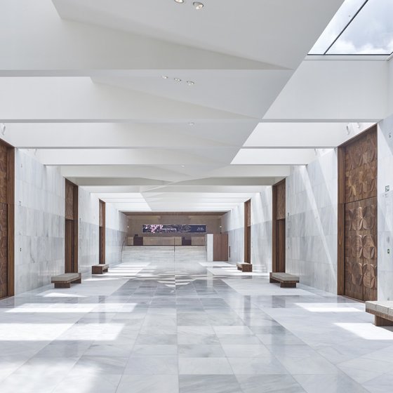 The Palace from the garden