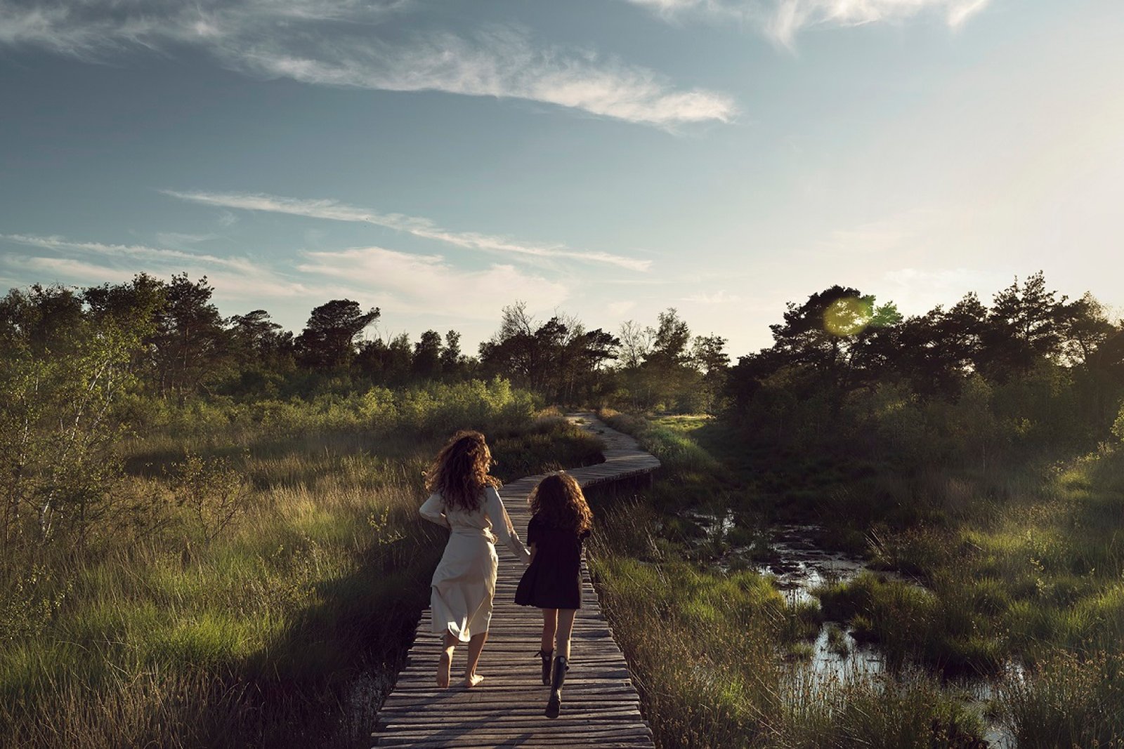 National Park De Groote Peel, wetlands in northern Limburg 