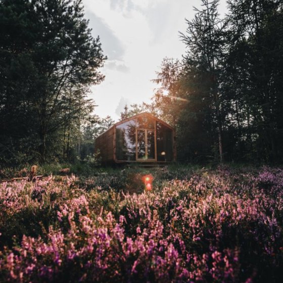 Tiny house on the heath at Cabiner - Drenthe 