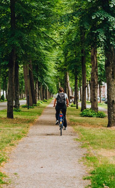 Utrecht Maliebaan cycling between the trees