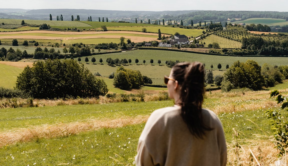 Scenery in Limburg