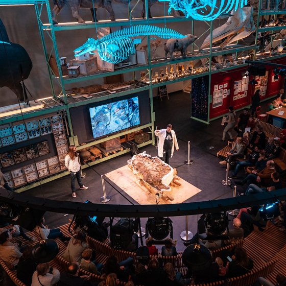 In Naturalis LiveScience, you will meet our researchers and collection managers.